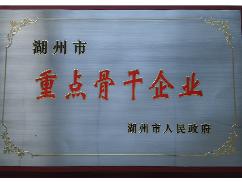 2010湖州市重點骨干企業(yè)